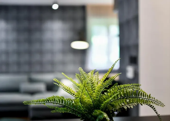 Vega - Gorseti Βίλα Gornji Sajn